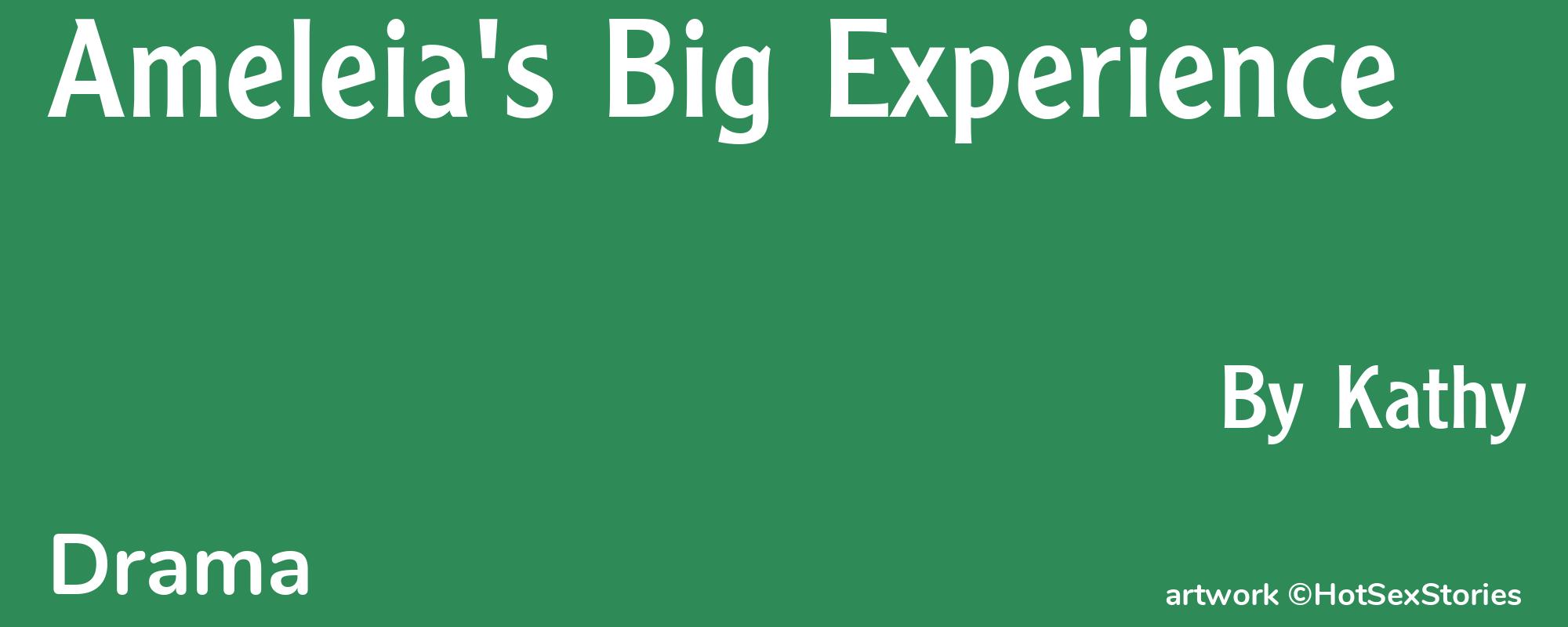 Ameleia's Big Experience - Cover