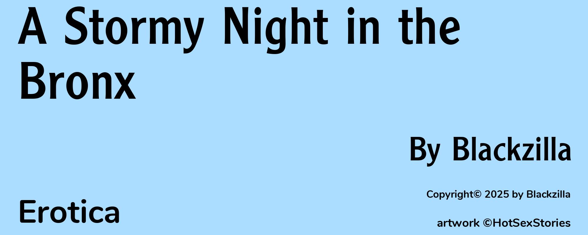 A Stormy Night in the Bronx - Cover