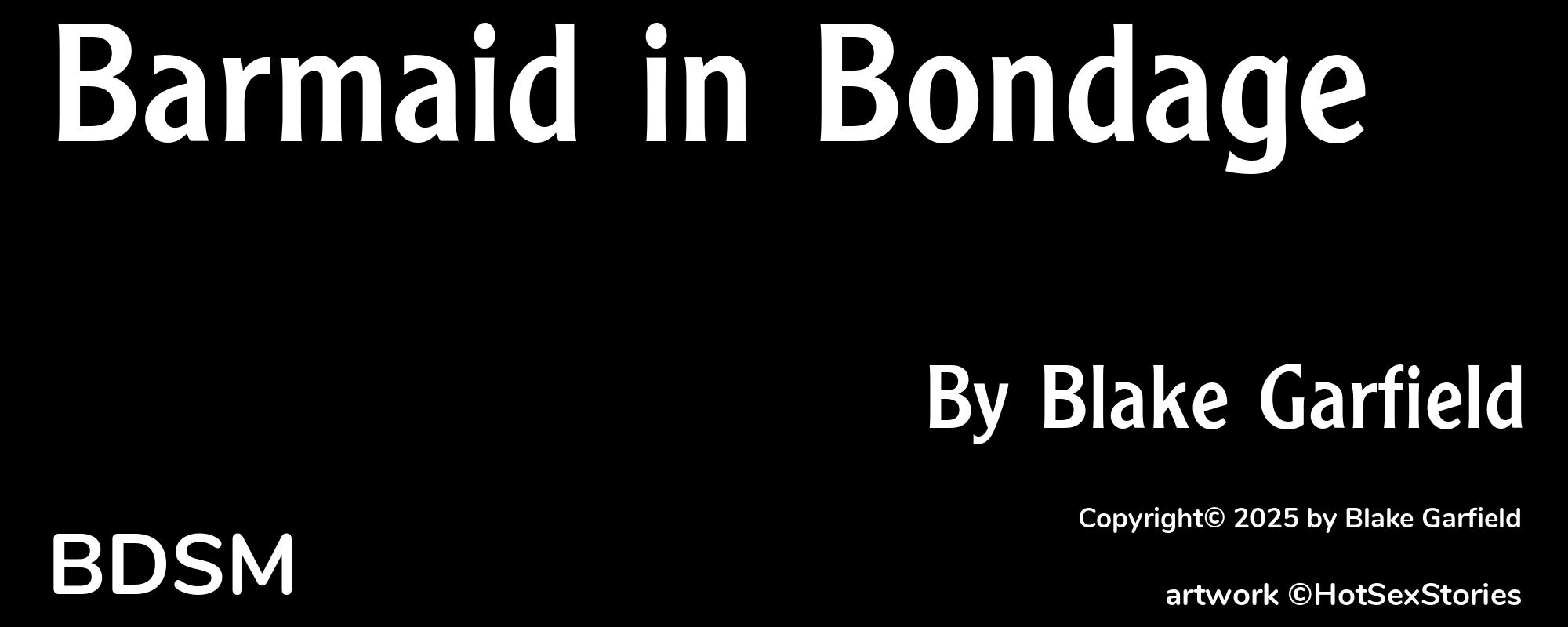 Barmaid in Bondage - Cover