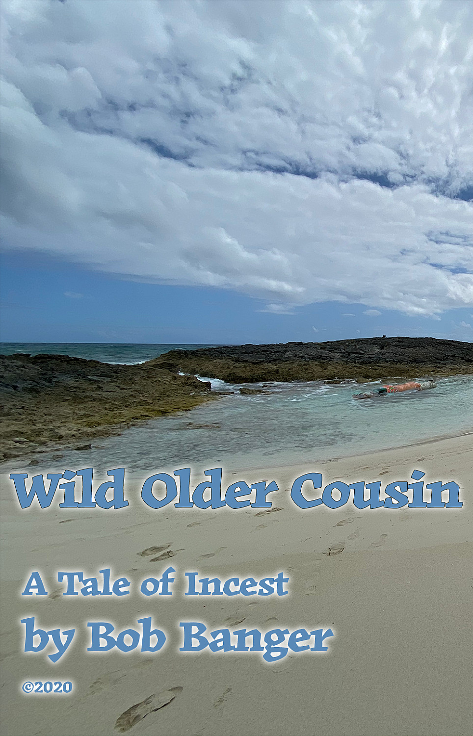 My Wild Older Cousin - Cover